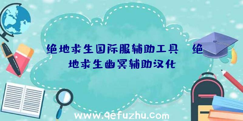 「绝地求生国际服辅助工具」|绝地求生幽冥辅助汉化